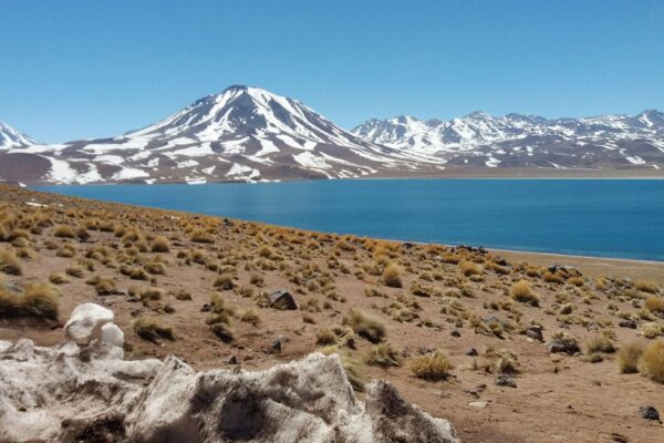 Lagunas Altiplánicas Miscanti y Meñiques y Salar de Atacama