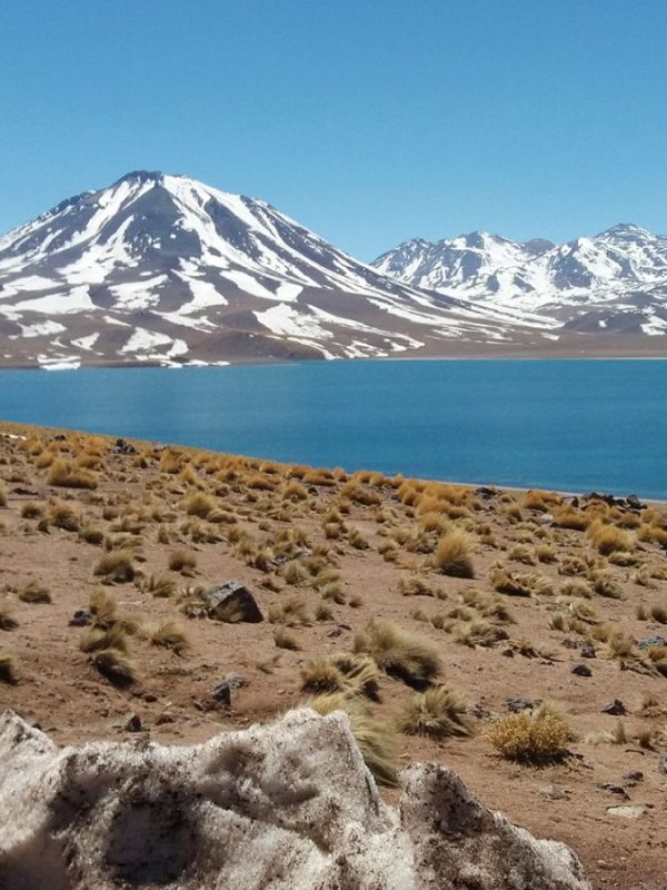 Lagunas Altiplánicas Miscanti y Meñiques y Salar de Atacama