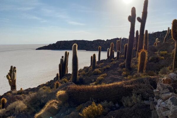 Uyuni – San Pedro o Uyuni  / 3 días y 2 noches / VIP