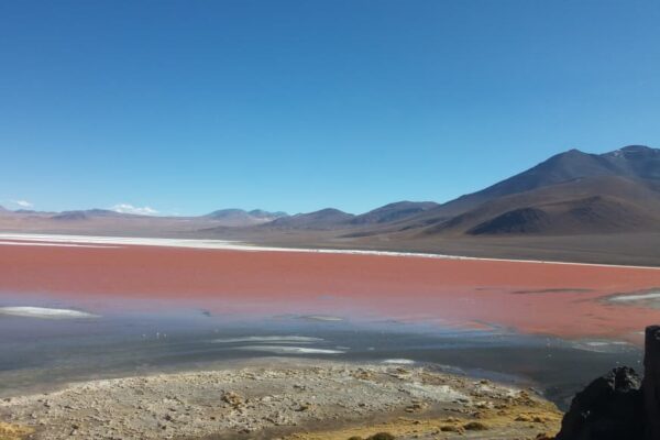 Uyuni con retorno a San Pedro / 4 días y 3 noches / Colectivo