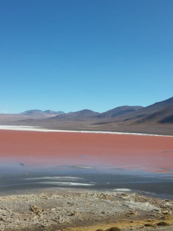 Uyuni con retorno a San Pedro / 4 días y 3 noches / Colectivo